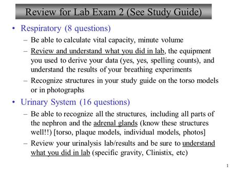 Review for Lab Exam 2 (See Study Guide)