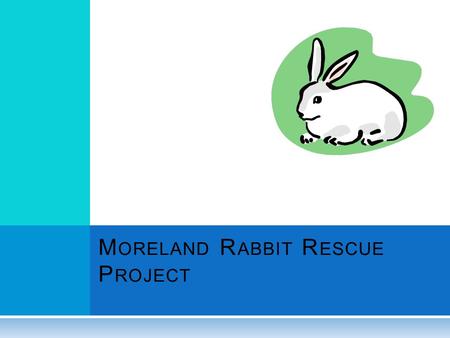 M ORELAND R ABBIT R ESCUE P ROJECT. A GENDA History Problems and Planned Solution District/PAWS Agreement Rescue Program/Process Frequently Asked Questions.