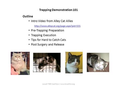 Trapping Demonstration 101 Outline Intro Video from Alley Cat Allies  Pre-Trapping Preparation Trapping Execution.