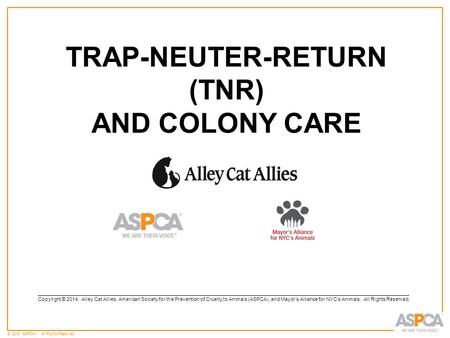 © 2012 ASPCA ®. All Rights Reserved. TRAP-NEUTER-RETURN (TNR) AND COLONY CARE ____________________________________________________________________________________________________________________________________.