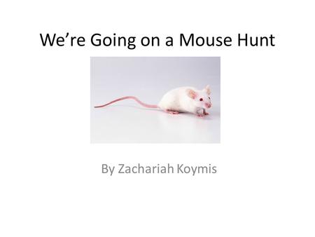 We’re Going on a Mouse Hunt