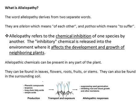 What is Allelopathy?   The word allelopathy derives from two separate words. They are allelon which means of each other, and pathos which means to suffer.