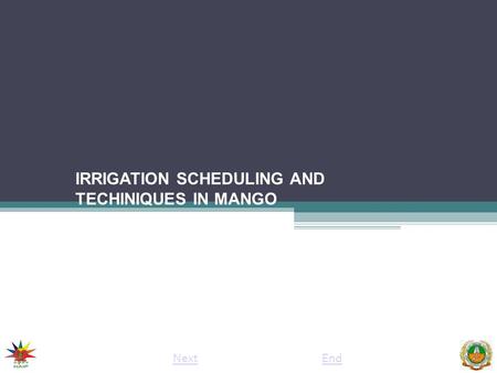 IRRIGATION SCHEDULING AND TECHINIQUES IN MANGO