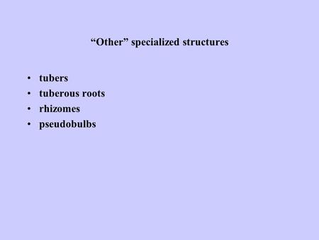 “Other” specialized structures tubers tuberous roots rhizomes pseudobulbs.