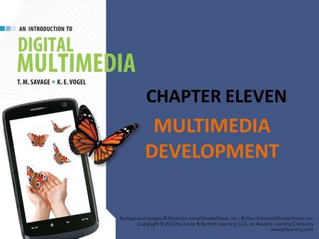 MULTIMEDIA DEVELOPMENT