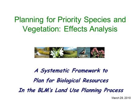 March 29, 2010 Planning for Priority Species and Vegetation: Effects Analysis A Systematic Framework to Plan for Biological Resources In the BLM’s Land.