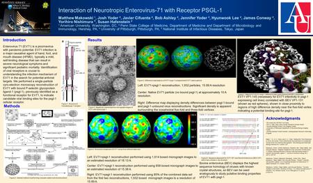 Interaction of Neurotropic Enterovirus-71 with Receptor PSGL-1 Matthew Makowski ¹, Josh Yoder ², Javier Cifuente ², Bob Ashley ², Jennifer Yoder ², Hyunwook.