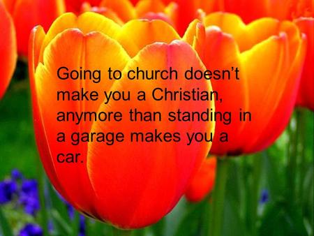 Going to church doesn’t make you a Christian, anymore than standing in a garage makes you a car.