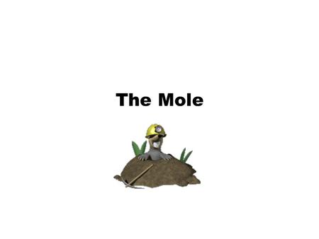 The Mole.