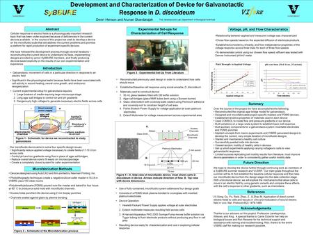 Development and Characterization of Device for Galvanotactic Response in D. discoideum The Janetopoulos Lab, Department of Biological Sciences Devin Henson.