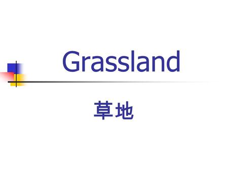 Grassland 草地. What is a Grassland? A open, continuous and fairly flat areas of grass and other herbs cover 40 percent of the earth's surface LocationBetween.