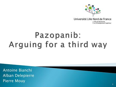 Pazopanib: Arguing for a third way