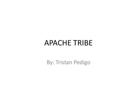 APACHE TRIBE By: Tristan Pedigo.