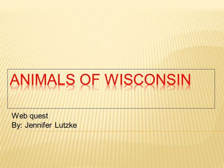 Web quest By: Jennifer Lutzke.  Students will investigate a given Wisconsin animal using technology with provided web sites  Students will learn how.