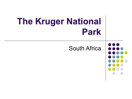 The Kruger National Park