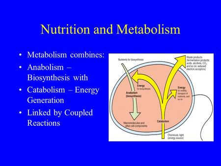 Nutrition and Metabolism