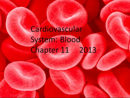 Cardiovascular System: Blood