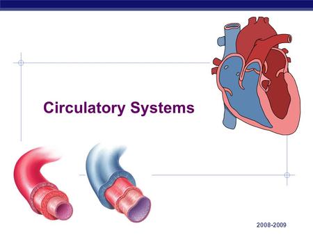 AP Biology 2008-2009 Circulatory Systems AP Biology Overcoming limitations of diffusion O2O2 CHO aa CH CO 2 NH 3 aa O2O2 CH aa CO 2 NH 3 O2O2 aa CH aa.