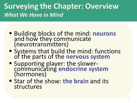 Surveying the Chapter: Overview What We Have in Mind