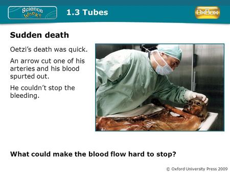 © Oxford University Press 2009 1.3 Tubes Sudden death What could make the blood flow hard to stop? Oetzi’s death was quick. An arrow cut one of his arteries.