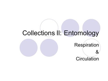 Collections II: Entomology