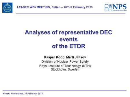 Analyses of representative DEC events of the ETDR