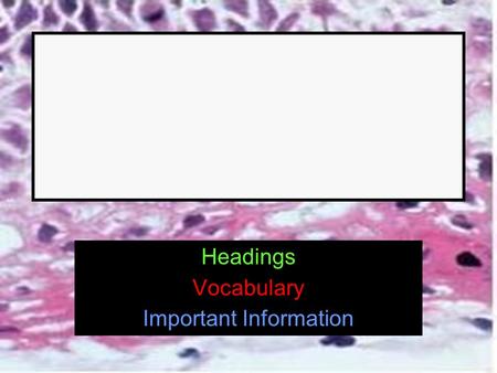 Headings Vocabulary Important Information