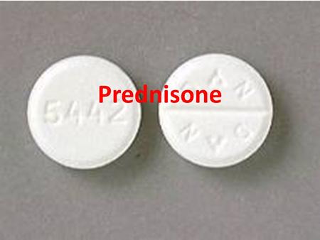 Prednisone.