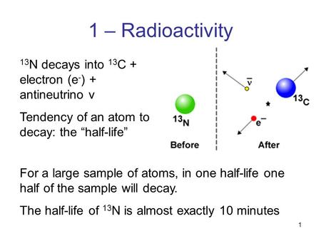 1 1 – Radioactivity 13 N decays into 13 C + electron (e - ) + antineutrino v Tendency of an atom to decay: the “half-life” For a large sample of atoms,