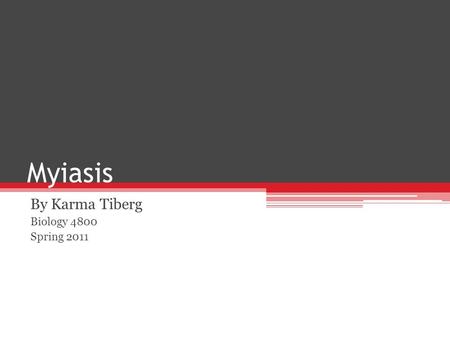 Myiasis By Karma Tiberg Biology 4800 Spring 2011.