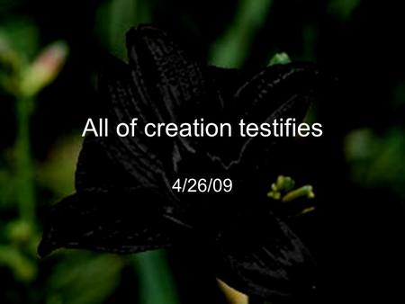 All of creation testifies