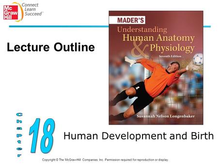 Human Development and Birth Copyright © The McGraw-Hill Companies, Inc. Permission required for reproduction or display. Lecture Outline.