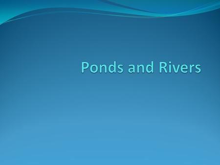 Introduction Sometimes nature tricks people. Just look at a pond. It always looks peaceful. A bird may stand in the water without moving, while a cute.