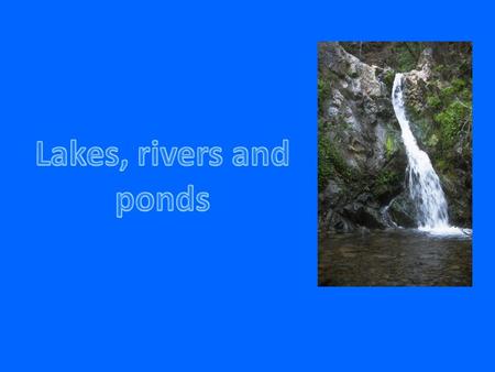 Our habitat is the pond. A pond is a small area of still fresh water. Ponds are like small worlds. It smells very bad. It doesn't take up much space.