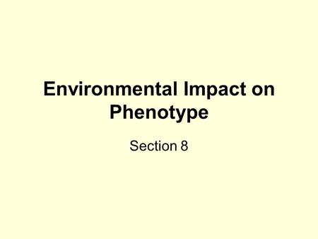 Environmental Impact on Phenotype Section 8. Genotype, Environment & Phenotype The final physical appearance (phenotype) of an organism depends on the.