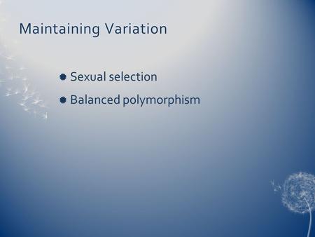 Maintaining VariationMaintaining Variation  Sexual selection  Balanced polymorphism.