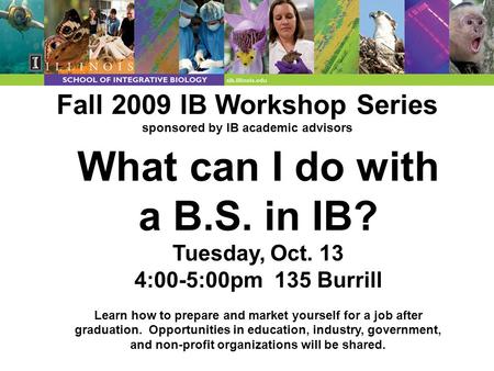 Fall 2009 IB Workshop Series sponsored by IB academic advisors What can I do with a B.S. in IB? Tuesday, Oct. 13 4:00-5:00pm 135 Burrill Learn how to prepare.