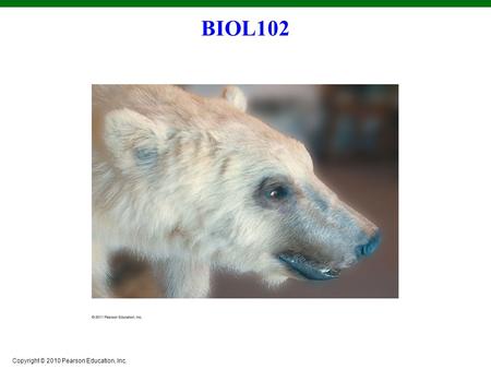 BIOL102.