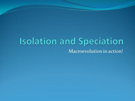 Isolation and Speciation