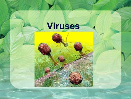 Viruses.