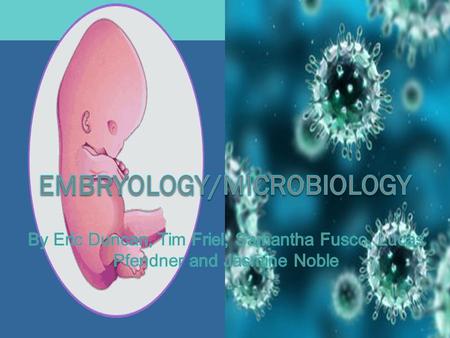 TABLE OF CONTENTS  Embryology  Microbiology EMBRYOLOGY  Vocabulary Vocabulary  Stages Stages  Processes Processes.