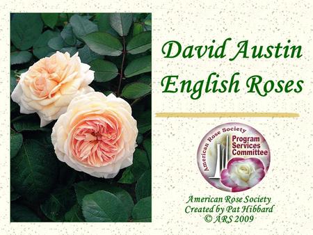 David Austin English Roses American Rose Society Created by Pat Hibbard © ARS 2009.