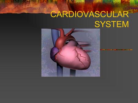 CARDIOVASCULAR SYSTEM 1.Aorta 2.Sup vena cava 3.Pul artery 4.Pul vein 5.Right atrium 6.R ventricle 7.Inf vena cava 8.Pul artery 9.Pul vein 10.Left atrium.