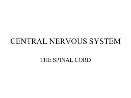 CENTRAL NERVOUS SYSTEM