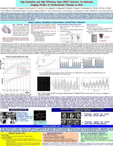 High Resolution and High Efficiency Open SPECT Detector for Molecular Imaging Studies of Cardiovascular Diseases on Mice MIOCARDIAL PERFUSION MEASUREMENTS.