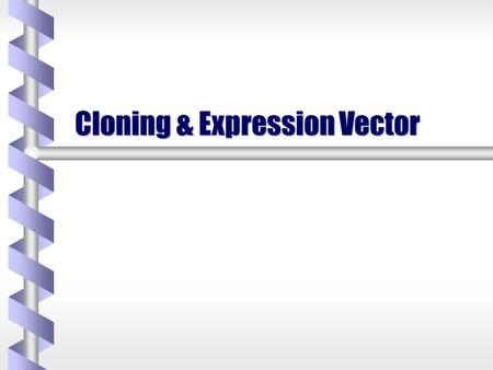 Cloning & Expression Vector. b-b-b-b- The entire animal is produced from a single cell by asexual reproduction. This would allow for the creation of a.