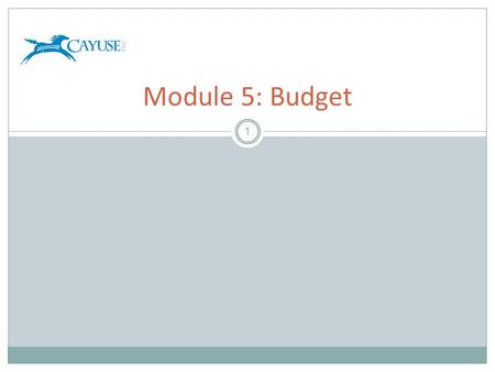 1 Module 5: Budget. Objectives 2 Welcome to the Cayuse424 Budget module. In this module you will learn: – Cayuse424 Basic Budget Concepts – How to use.