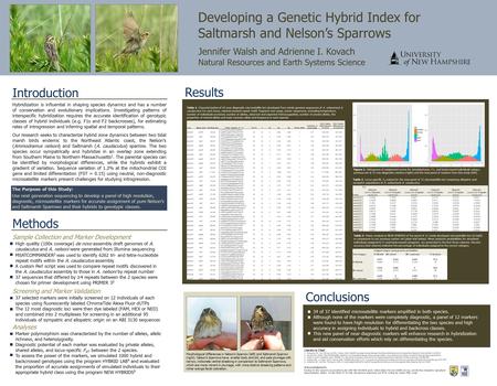 Developing a Genetic Hybrid Index for Saltmarsh and Nelson’s Sparrows Jennifer Walsh and Adrienne I. Kovach Natural Resources and Earth Systems Science.