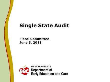 Single State Audit Fiscal Committee June 3, 2013.