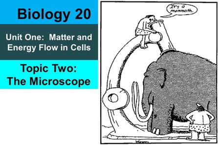 Unit One: Matter and Energy Flow in Cells